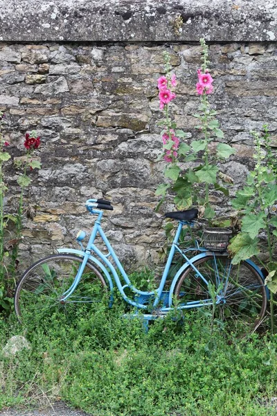 Beaujolais Fransa Çiçekli Mavi Bisiklet — Stok fotoğraf