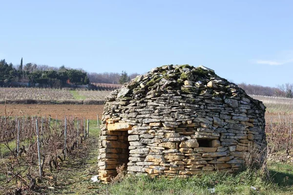 Stara Typowa Kamienna Chatka Zwana Cadole Języku Francuskim Winnicach Beaujolais — Zdjęcie stockowe