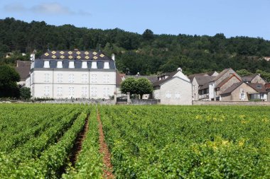 Chassagne-Montrachet, Fransa - 5 Temmuz 2020: Chateau de la Maltroye Burgundy-Franche-Comte 'de yer alan modern bir kaledir.