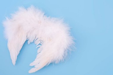 kanatların mavi arkaplanı