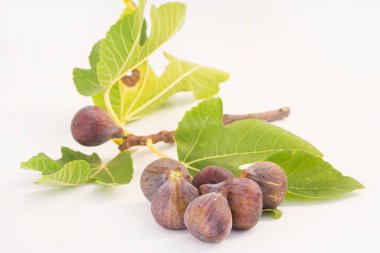 Ağaç beyaz arkaplan ile Doğal İncir