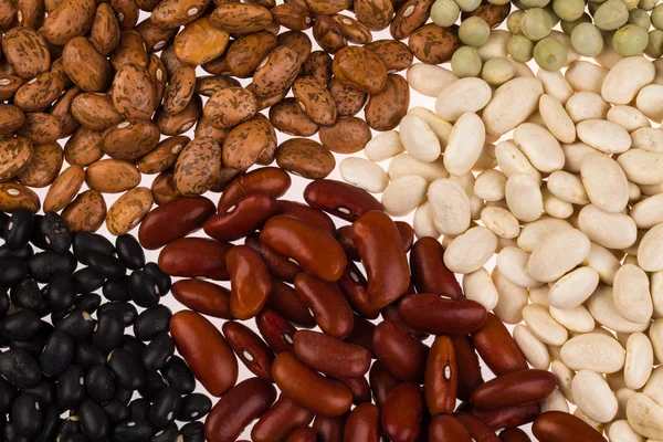 Assorted beans — Stock Photo, Image