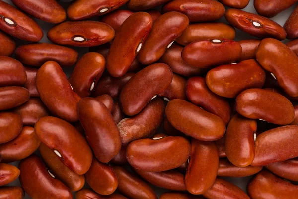 Kidney beans — Stock Photo, Image