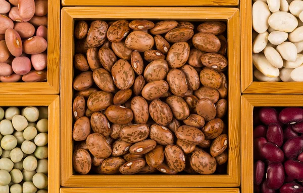 Boxes of beans — Stock Photo, Image