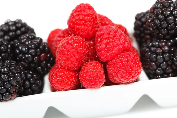 Berries — Stock Photo, Image