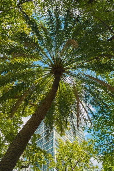 Brickell Park — Stock Photo, Image