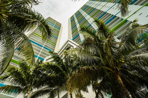 Centro de Miami — Fotografia de Stock