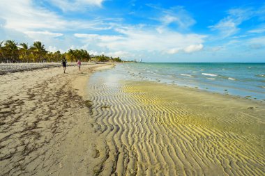 Crandon Park Beach