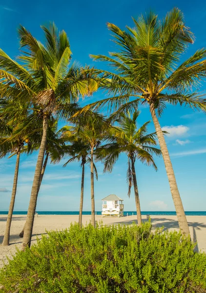 Crandon Park Beach — Stock Photo, Image