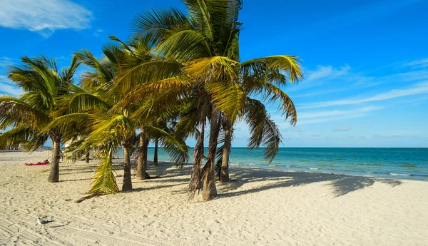 Crandon Park Beach — Zdjęcie stockowe