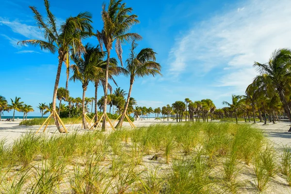 Crandon Park Beach — Zdjęcie stockowe