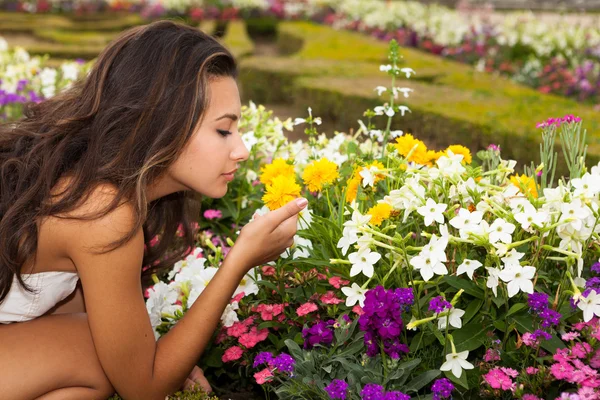 Beautiful Young Woman in Paris — Stock Photo, Image