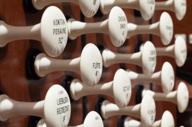 Boru organ