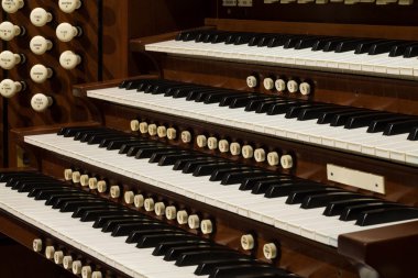 Boru organ
