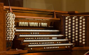 Boru organ