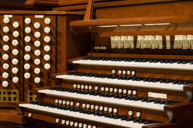 Boru organ