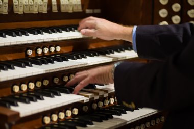 Boru organ