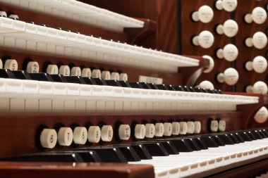 Boru organ