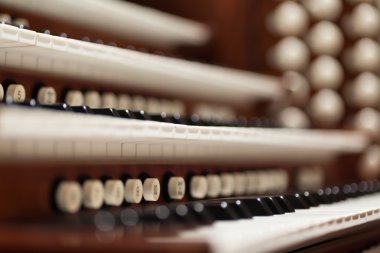 Boru organ