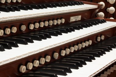 Boru organ