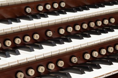 Boru organ