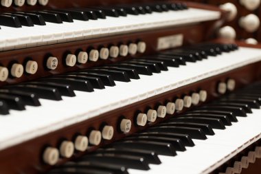 Boru organ