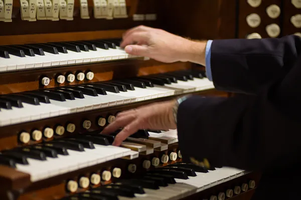 Boru organ
