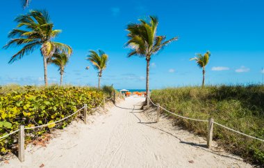 Miami Beach