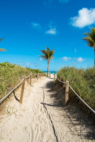 Miami Beach — Fotografia de Stock