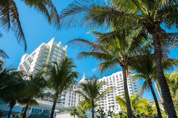 Strand von Miami — Stockfoto