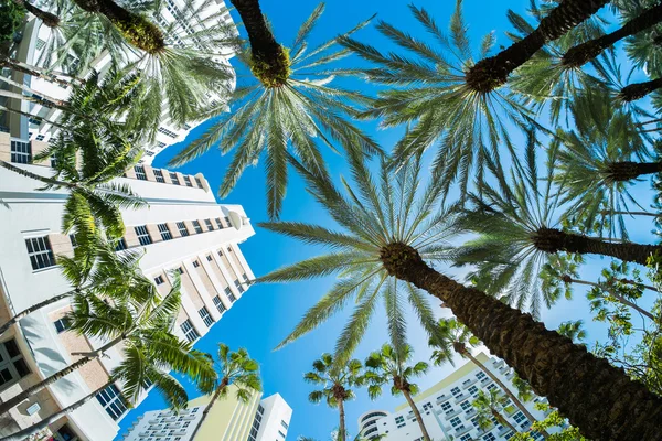 Miami Beach — Fotografia de Stock