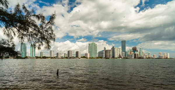 Miamis skyline — Stockfoto