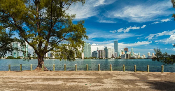 Miamis skyline — Stockfoto