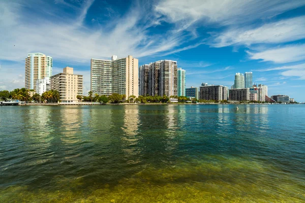 Miamis skyline — Stockfoto