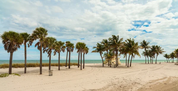 Crandon park spiaggia — Foto Stock