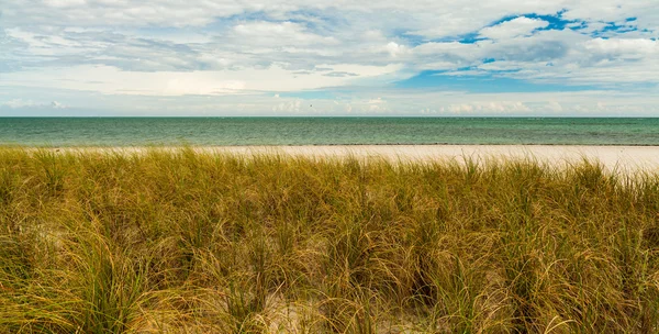 Crandon Park Beach — Stok fotoğraf