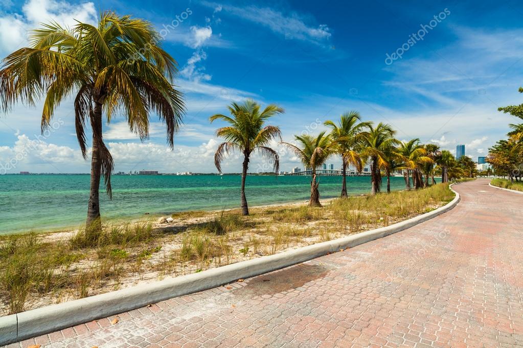 Key Biscayne Beach — Stock Photo © fotoluminate 42266175