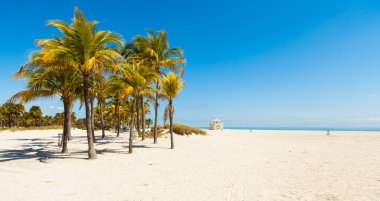 Crandon Park Beach
