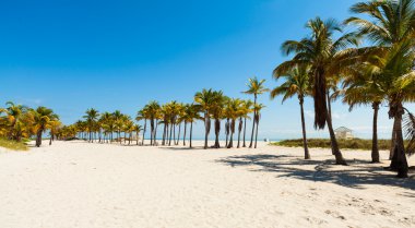 Crandon Park Beach