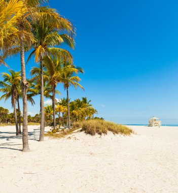 Crandon Park Beach