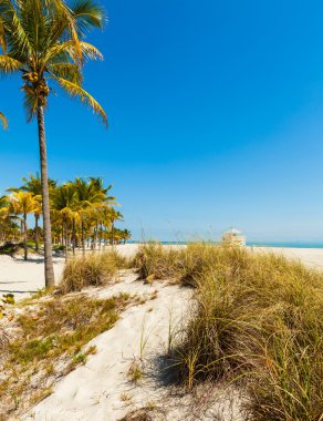 Crandon Park Beach