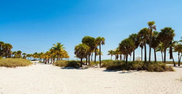 Crandon Park Beach — Stock Photo, Image