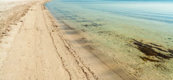 Crandon Park Beach — Stock Photo, Image