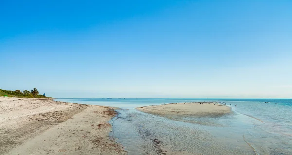 Playa del parque de crandon — Foto de Stock