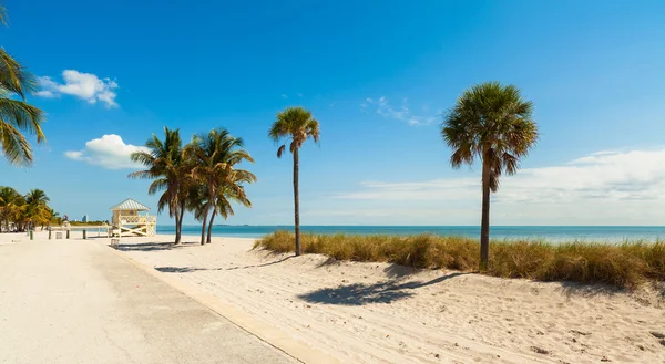 Plage de Crandon Park — Photo