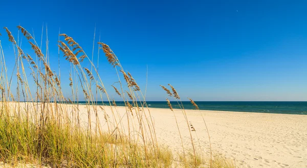 Piękna plaża — Zdjęcie stockowe