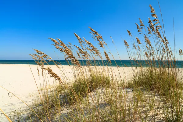 Hermosa playa — Foto de Stock