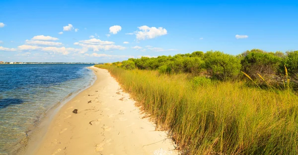 Piękna plaża — Zdjęcie stockowe