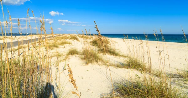 Bella spiaggia — Foto Stock