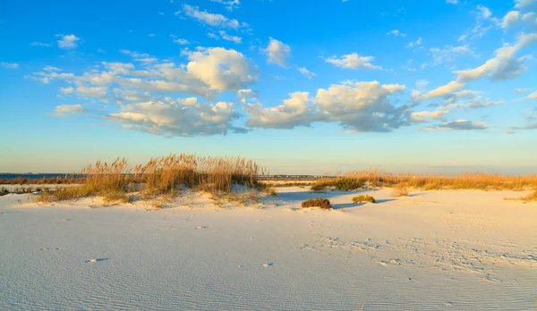 Strand — Stockfoto